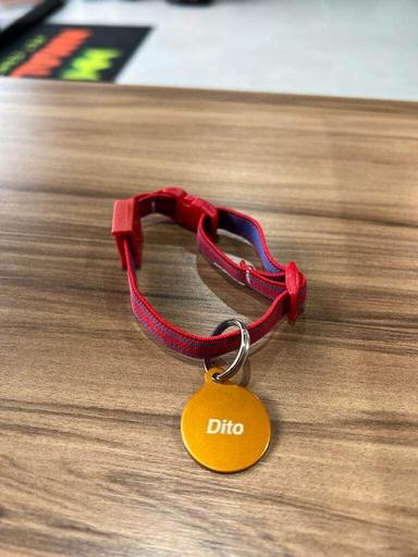 Imagem de representação do prêmio